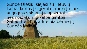 Igno Šeiniaus „Kuprelis”. Paveikslėlis 9