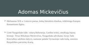 Adomas Mickevičius. Paveikslėlis 2