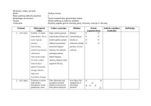 Pamokos planas: greičio, ištvermės, reakcijos ir vikrumo gerinimas