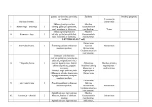 Muzikos ilgalaikis pamokų planas 8 klasei. Paveikslėlis 5