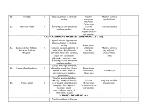 Muzikos ilgalaikis pamokų planas 8 klasei. Paveikslėlis 6