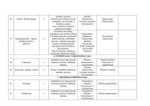 Muzikos ilgalaikis pamokų planas 8 klasei. Paveikslėlis 7