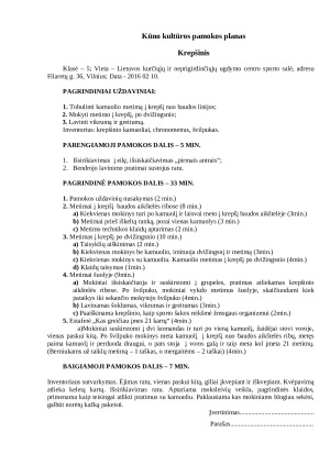 Pamokų planai: tinklinis, krepšinis.. Paveikslėlis 5