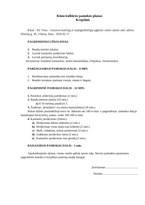 Pamokų planai: tinklinis, krepšinis.. Paveikslėlis 9