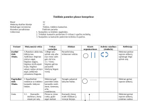 Tinklinio pamokos planas 12 klasei