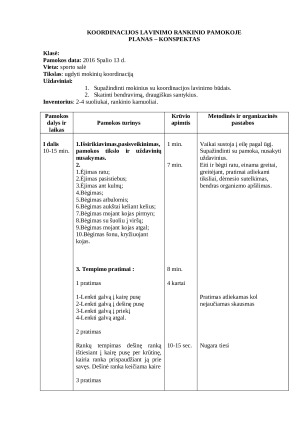 Koordinacijos lavinimas rankinio pamokoje. Paveikslėlis 2