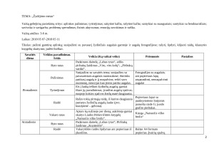 Pamokos planas: gamtinės aplinkos pažinimas. Paveikslėlis 2