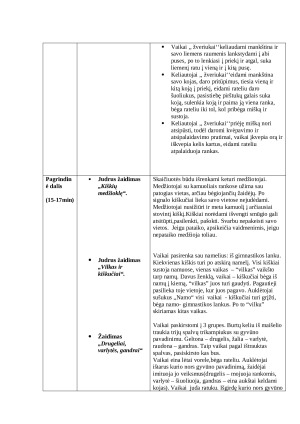 Pamokos planas: žaidimai su kamuoliais, lankais. Paveikslėlis 3