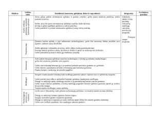 Ilgalaikis visų pamokų planas antrai klasei. Paveikslėlis 9