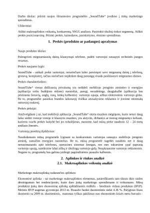 IŠMANIOSIOS PROGRAMĖLĖS „SoundTube“ ĮVEDIMO Į RINKĄ MARKETINGO SPRENDIMAI. Paveikslėlis 3