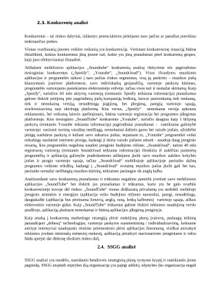 IŠMANIOSIOS PROGRAMĖLĖS „SoundTube“ ĮVEDIMO Į RINKĄ MARKETINGO SPRENDIMAI. Paveikslėlis 7