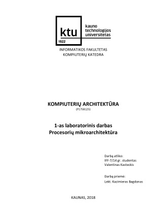 Procesorių mikroarchitektūra. Paveikslėlis 1