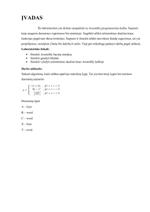Assembly programavimas. Paveikslėlis 3
