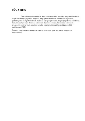 Assembly programavimas. Paveikslėlis 9