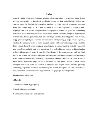 AVIEČIŲ AUGINIMAS. PRAKTINIO DARBO ATASKAITA. Paveikslėlis 2