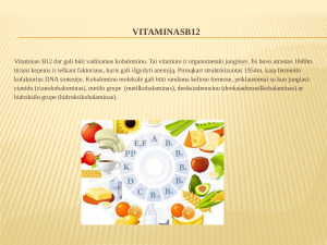 B grupės vitaminai. Paveikslėlis 6
