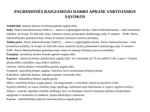 Filafeliai su humusu ir sezoninėmis daržovėmis. Paveikslėlis 4