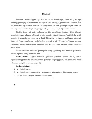 Gervuogių auginimas. Praktinio darbo ataskaita. Paveikslėlis 3