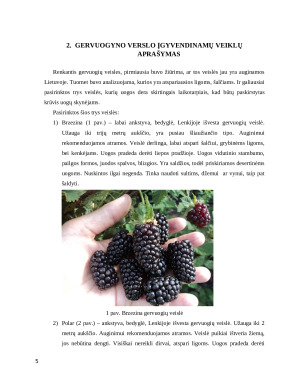 Gervuogių auginimas. Praktinio darbo ataskaita. Paveikslėlis 5
