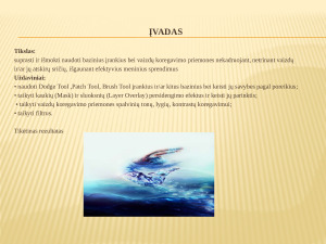 Koliažas ,,Erdvėje’’. Paveikslėlis 2