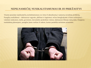 NEPILNAMEČIŲ NUSIKALSTAMUMO PROBLEMA IR PRIELAIDOS. Paveikslėlis 3