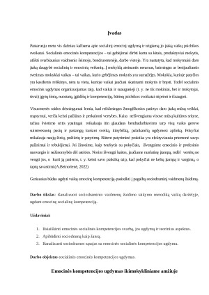 Sociodraminis žaidimas. Paveikslėlis 1