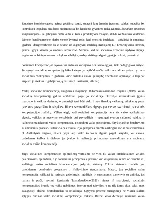 Sociodraminis žaidimas. Paveikslėlis 2
