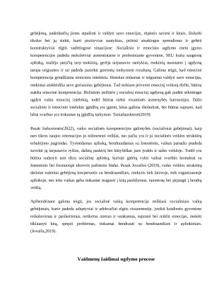 Sociodraminis žaidimas. Paveikslėlis 6
