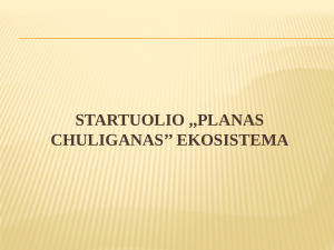Startuolio ,,planas chuliganas’’ ekosistema. Paveikslėlis 1