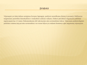 Vėjaraupiai. Paveikslėlis 1