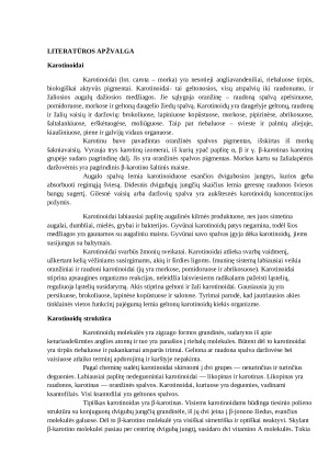 Karotino kiekio nustatymas morkose. Paveikslėlis 5