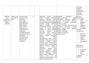 Lietuvių kalbos ir literatūros pamokų ilgalaikis planas 7 klasei. Paveikslėlis 3