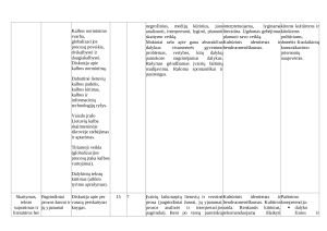 Lietuvių kalbos ir literatūros pamokų ilgalaikis planas 9 klasei. Paveikslėlis 3