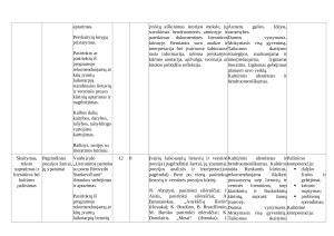 Lietuvių kalbos ir literatūros pamokų ilgalaikis planas 9 klasei. Paveikslėlis 6