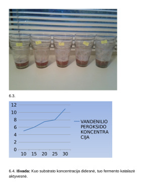 Kepenų fermento katalazės aktyvumo priklausomybės nuo substrato koncentracijos tyrimas. Praktikos darbas. Paveikslėlis 4