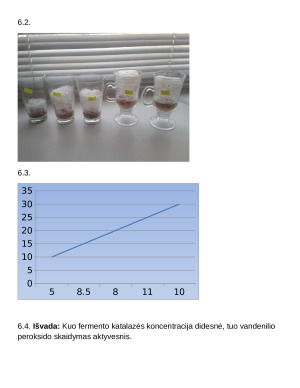 Kepenų fermento katalazės aktyvumo priklausomybės nuo substrato koncentracijos tyrimas. Praktikos darbas. Paveikslėlis 7