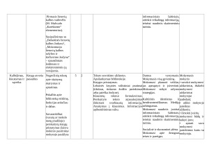 Lietuvių kalbos ir literatūros pamokų ilgalaikis planas 5 klasei. Paveikslėlis 4