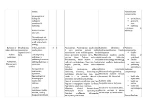 Lietuvių kalbos ir literatūros pamokų ilgalaikis planas 5 klasei. Paveikslėlis 5