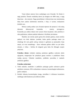 MAKIAŽO RANKŲ IR KOJŲ PRIEŽIŪROS PRAKTIKOS ATASKAITA. Paveikslėlis 3