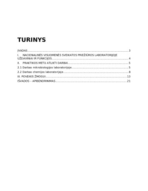 GAMYBINĖS PRAKTIKOS ATASKAITA. NVSPL. Paveikslėlis 2