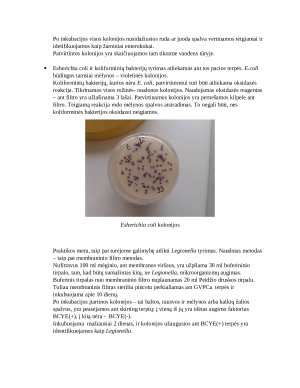 GAMYBINĖS PRAKTIKOS ATASKAITA. NVSPL. Paveikslėlis 6