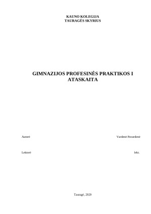 GIMNAZIJOS PROFESINĖS PRAKTIKOS ATASKAITA