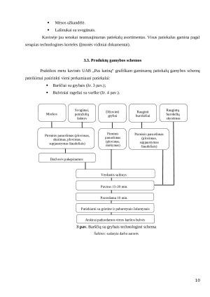 GAMYBINĖS PRAKTIKOS UAB „PAS KATINĄ“ ATASKAITA. Paveikslėlis 10