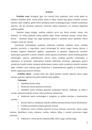 GAMYBINĖS PRAKTIKOS UAB „PAS KATINĄ“ ATASKAITA. Paveikslėlis 3