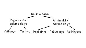 Sakinio dalys, veiksnys, tarinys (teorija, užduotys). Paveikslėlis 2