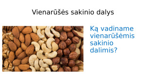 Vienarūšės sakinio dalys. Teorija ir užduotys