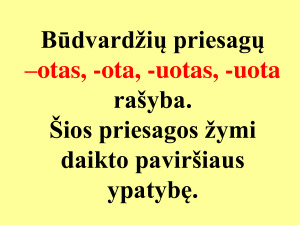 Priešdėlinių ir priesaginių būdvardžių rašyba (6 kl) . Paveikslėlis 3