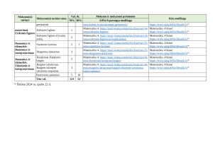 MATEMATIKOS ILGALAIKIS PLANAS 4 KLASEI 2025m. Paveikslėlis 5