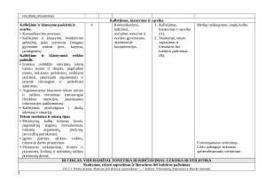 LIETUVIŲ KALBOS IR LIT ILGALAIKIS PLANAS 10 (II GIMNAZIJOS) KLASEI 2025m. Paveikslėlis 5