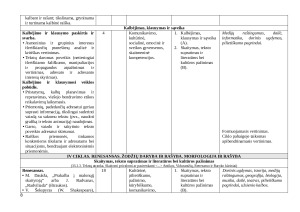 LIETUVIŲ KALBOS IR LIT ILGALAIKIS PLANAS 10 (II GIMNAZIJOS) KLASEI 2025m. Paveikslėlis 8